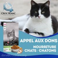 Dons Miam
