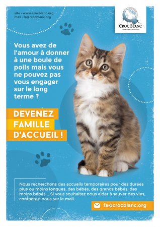 adoptions des chiens a lyon Resto Animo Lyon