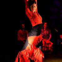 cours de danse latine a lyon FLAMENCO AL ANDALUS COURS DANSE LYON SALSA ORIENTALE