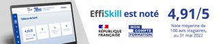 cours excel en lyon EffiSkill