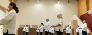 cours de chi kung lyon TAI CHI CHUAN LYON 6è