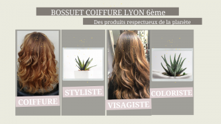 coiffeurs de luxe lyon SALON BOSSUET COIFFURE 69006