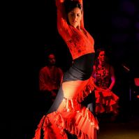 spectacles de danse en lyon FLAMENCO AL ANDALUS COURS DANSE LYON SALSA ORIENTALE