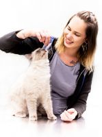 chiens de cliniques lyon Vétérinaires félins - Entre Chats - Vétérinaires réservés aux chats