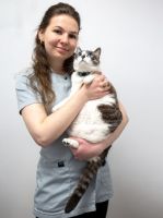 chiens de cliniques lyon Vétérinaires félins - Entre Chats - Vétérinaires réservés aux chats