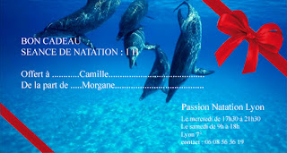 cours d aquafitness lyon Cours particulier de natation dans un bassin pour vous seul