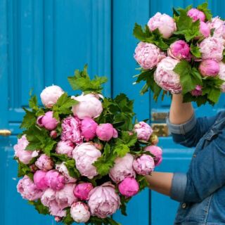 magasins de fleurs typiques lyon Atelier Lavarenne, Fleuriste à Lyon, Livraison gratuite (1er, 2e, 3e, 6e à partir de 35€ d'achat)