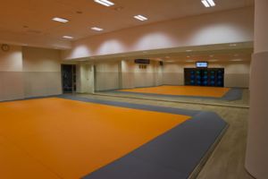 salles de taekwondo en lyon Espace Undokai