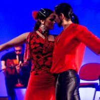 concerts de flamenco lyon FLAMENCO AL ANDALUS COURS DANSE LYON SALSA ORIENTALE