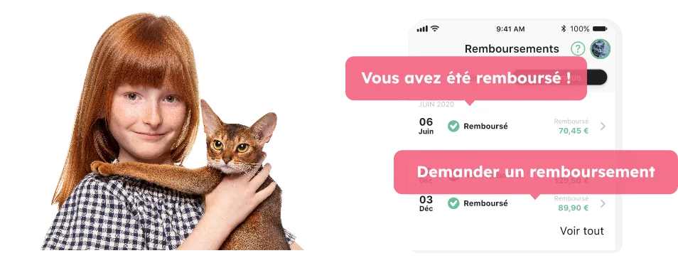 offres d emploi assistant veterinaire lyon SantéVet