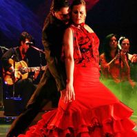 salles de spectacles de flamenco a lyon FLAMENCO AL ANDALUS COURS DANSE LYON SALSA ORIENTALE