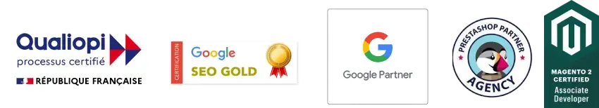 specialistes de google adwords lyon 410 Gone Agence Seo et E-commerce A Lyon