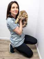 cliniques veterinaires en lyon Vétérinaires félins - Entre Chats - Vétérinaires réservés aux chats