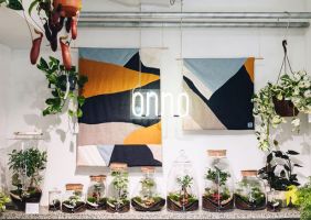 magasins pour acheter des plantes d interieur lyon Onno Jardins intérieurs