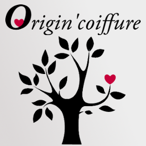 salons de coiffure avec lissage a la keratine lyon Origin'coiffure