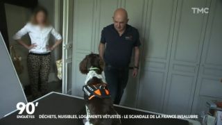 lutte contre les punaises de lit lyon Punaises Expert Lyon - Détection Canine de Punaises de Lits
