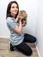 veterinaire gratuit lyon Vétérinaires félins - Entre Chats - Vétérinaires réservés aux chats