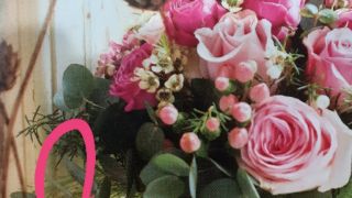 cours de fleuriste en ligne lyon Fleuralia