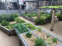 cours de jardinage sur place lyon Jardin des Émeraudes