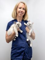 cliniques veterinaires en lyon Vétérinaires félins - Entre Chats - Vétérinaires réservés aux chats