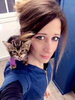 cliniques veterinaires en lyon Vétérinaires félins - Entre Chats - Vétérinaires réservés aux chats