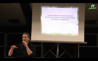 VIDEO : 