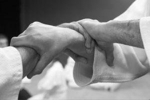 salles d arts martiaux en lyon Académie d'Aikido de Lyon