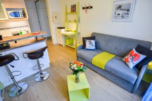 appartements a louer lyon Flat Fish : Location d'appartements meublés à Lyon et transaction