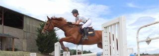 equitations a poney pres pres de chez vous a lyon Club Hippique de Pollionnay