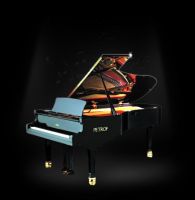 piano d occasion lyon PIANOS BARUTH