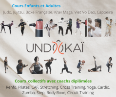 salles de taekwondo en lyon Espace Undokai