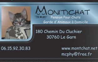 chenils pour chiens en pension dans lyon Mon(t)chat