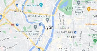 restaurants chinois a lyon Carnet Gourmand