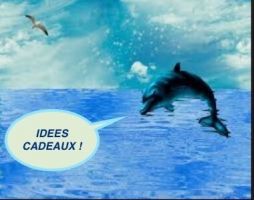 idées cadeaux pour marins