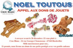 Noel chiens