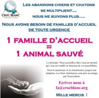 Recherche FA