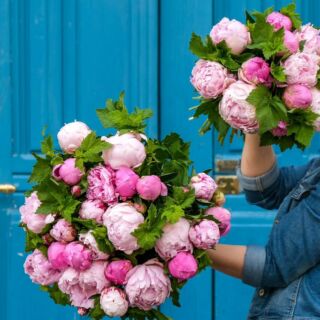 magasins pour acheter des tulipes lyon Atelier Lavarenne, Fleuriste à Lyon, Livraison gratuite (1er, 2e, 3e, 6e à partir de 35€ d'achat)