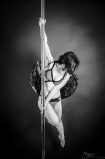 lecons de pole dance lyon Expendapole