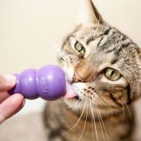 kitty kong jouet chat kong 2