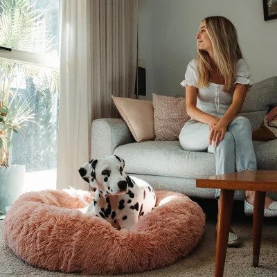 Coussin chien