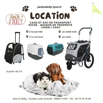Location d'accessoires pour chiens et chats à Lyon