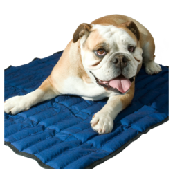 Matelas rafraîchissant M Bleu