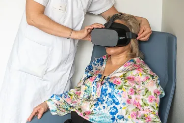 cliniques pour alcooliques lyon Clinique Villa des Roses | INICEA