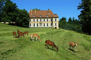 fermes avec animaux lyon Parc animalier du château de Moidière