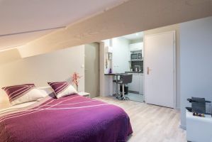 logement en airbnb lyon Le Cocon de Monplaisir location courte durée