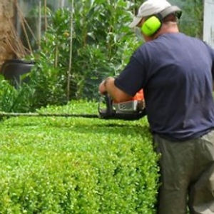 paysagistes lyon Beaudier Espaces Verts Jardiniers & Paysagistes